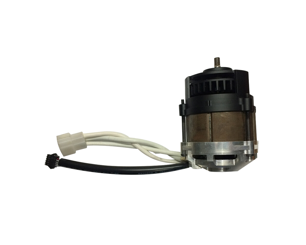 Brushless Control Motor of Lithium Chain Saw